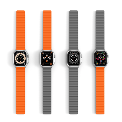 Apple Watch DuoColor Flip Band